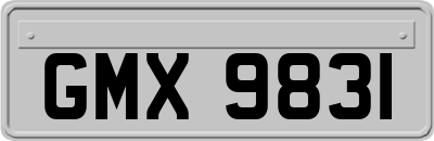 GMX9831