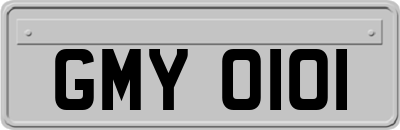 GMY0101
