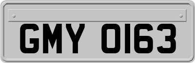 GMY0163