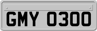 GMY0300