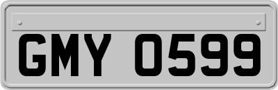 GMY0599
