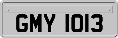 GMY1013