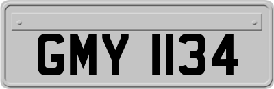 GMY1134