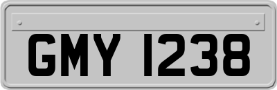 GMY1238