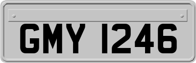 GMY1246