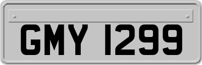 GMY1299