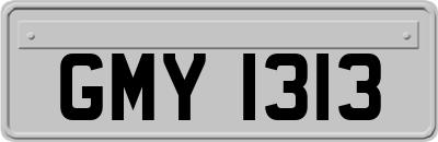 GMY1313