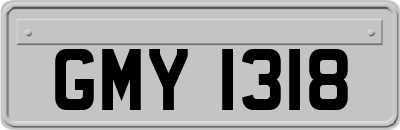 GMY1318