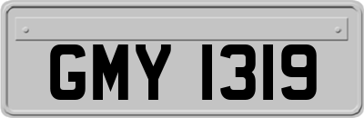 GMY1319