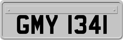 GMY1341