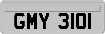 GMY3101