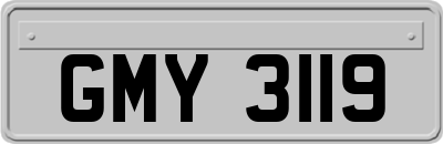 GMY3119