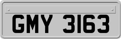 GMY3163