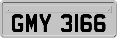 GMY3166