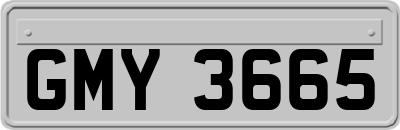 GMY3665