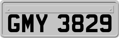GMY3829
