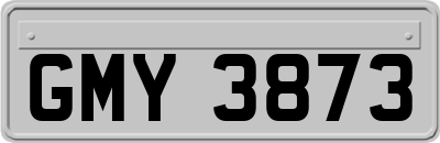 GMY3873