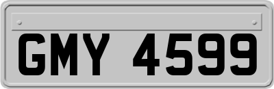 GMY4599