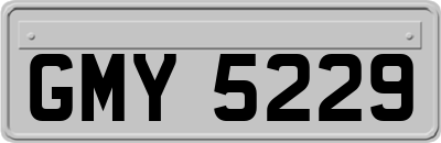 GMY5229