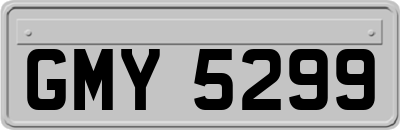 GMY5299