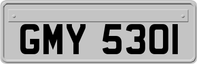GMY5301