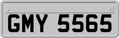 GMY5565