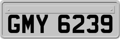 GMY6239