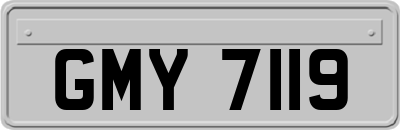 GMY7119