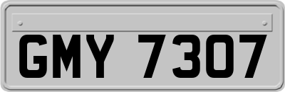 GMY7307