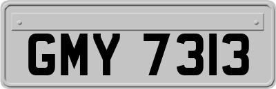 GMY7313