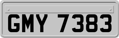GMY7383