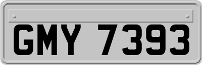 GMY7393