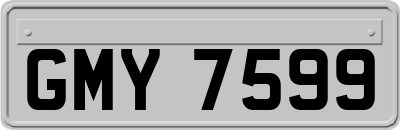 GMY7599