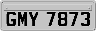 GMY7873