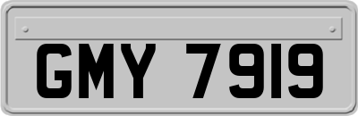 GMY7919