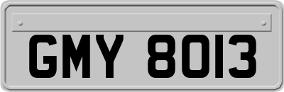 GMY8013