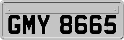 GMY8665