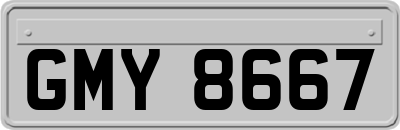 GMY8667