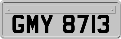 GMY8713