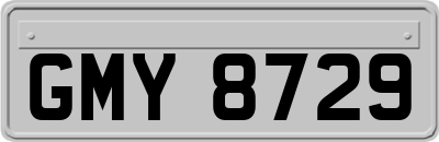 GMY8729