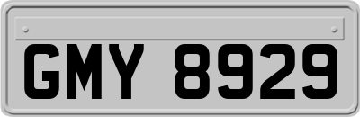 GMY8929