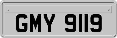 GMY9119