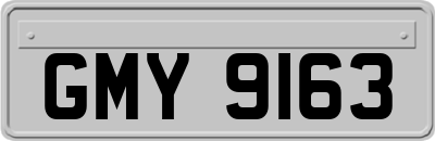 GMY9163