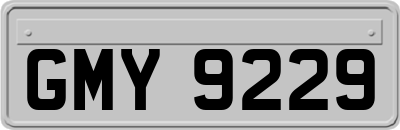 GMY9229