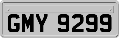 GMY9299