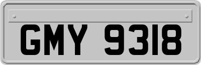 GMY9318