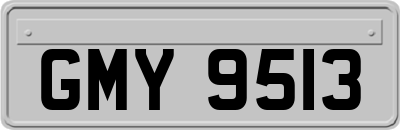 GMY9513