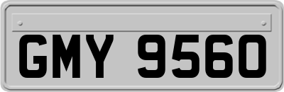 GMY9560
