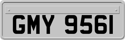GMY9561