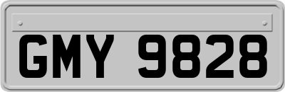 GMY9828